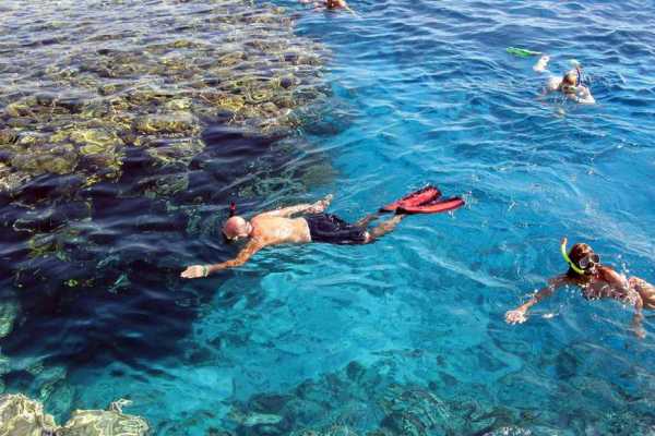 Marsa Mubarak Snorkeling Trip From Marsa Alam