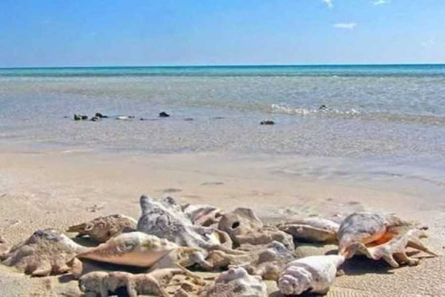 Egypt Tour packages Private trip to wadi El Gemal from Marsa Alam