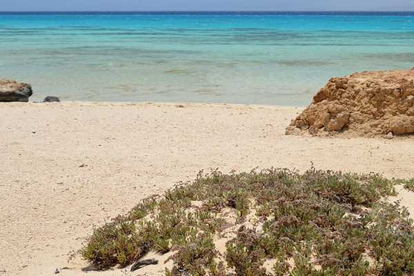 Half day snorkeling to Sharm El-Luli from Marsa Alam