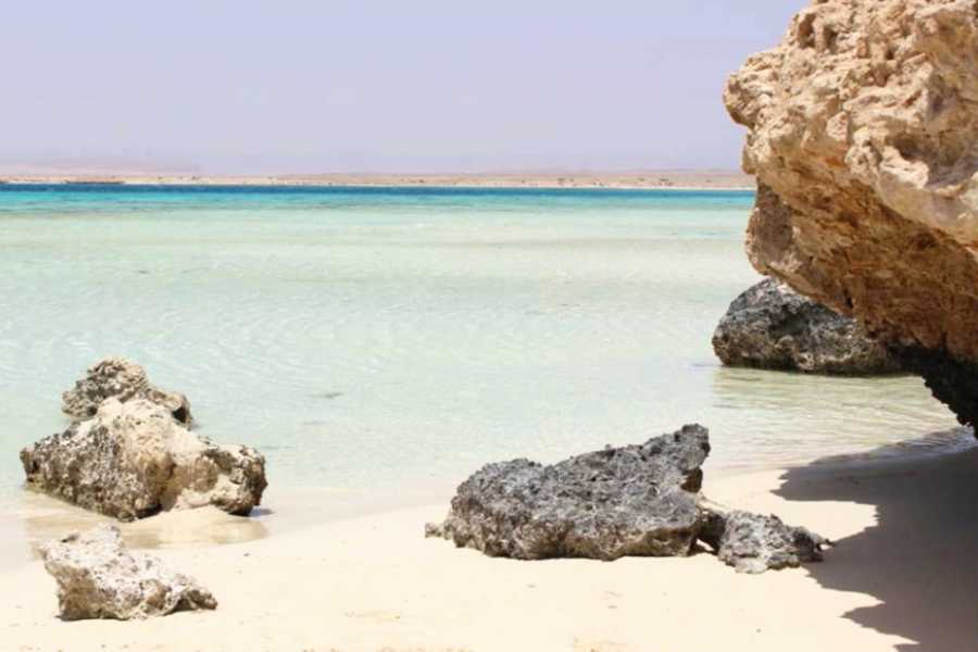 Egypt Tour packages Medio día de snorkel a Sharm El Luli desde Marsa Alam