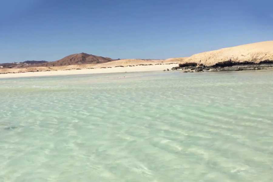 Egypt Tour packages Medio día de snorkel a Sharm El Luli desde Marsa Alam
