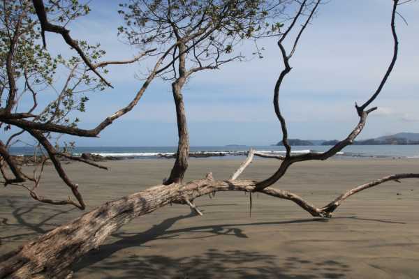 Gold Coast Beach Tour