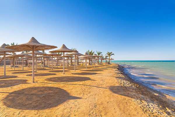 Transfer from Marsa Alam Airport to Hotel in Safaga