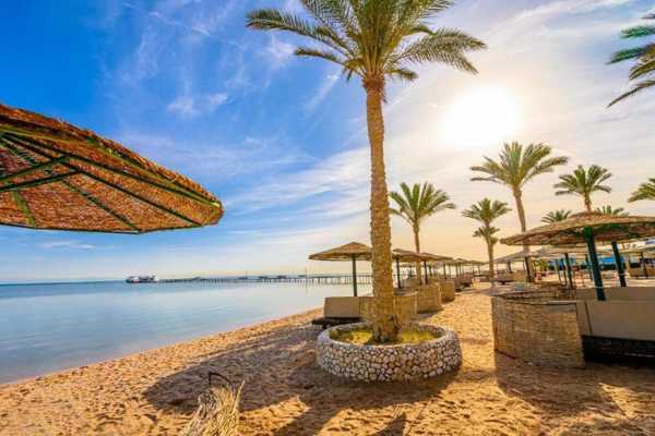 Transfer from Marsa Alam Airport to Hotel in Safaga