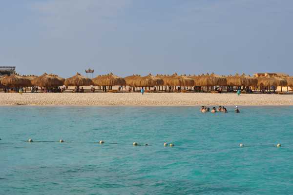 Transfer from Marsa Alam Airport to Hotel in Soma Bay