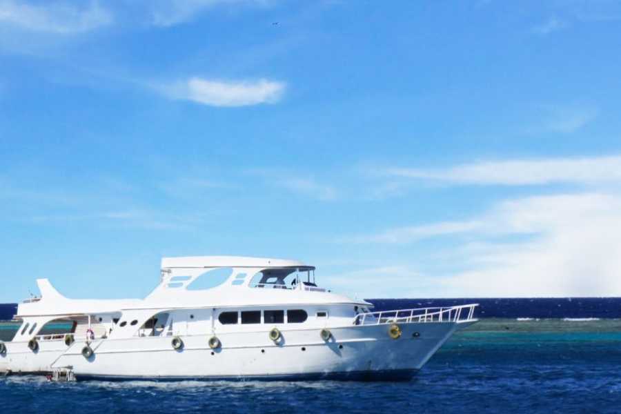 Egypt Tour packages 11 days Egypt itinerary Cairo with Nile cruise and Hurghada