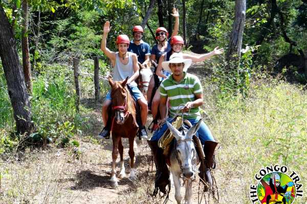 Canopy Horseback Monkey Combo