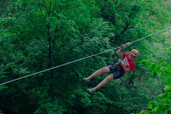 Canopy Horseback Monkey Combo