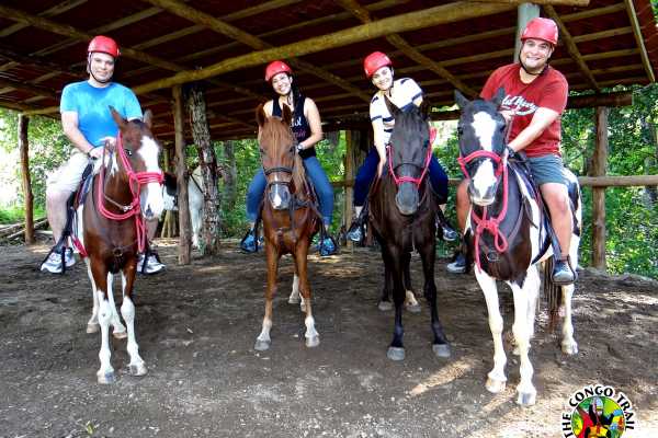 Canopy Horseback Monkey Combo