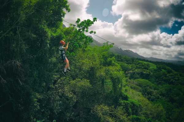 Canopy Horseback Monkey Combo