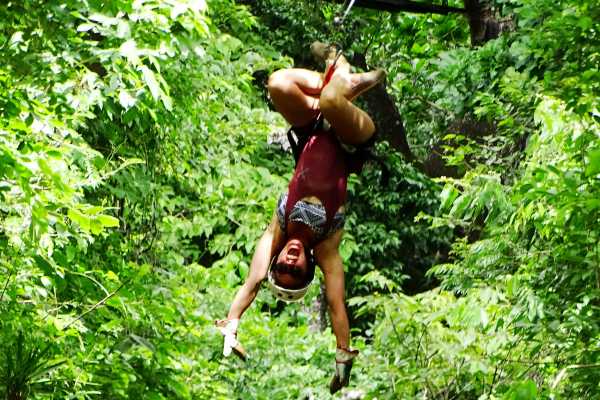 Canopy Horseback Monkey Combo