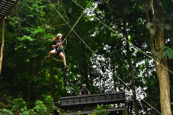Canopy Horseback Monkey Combo