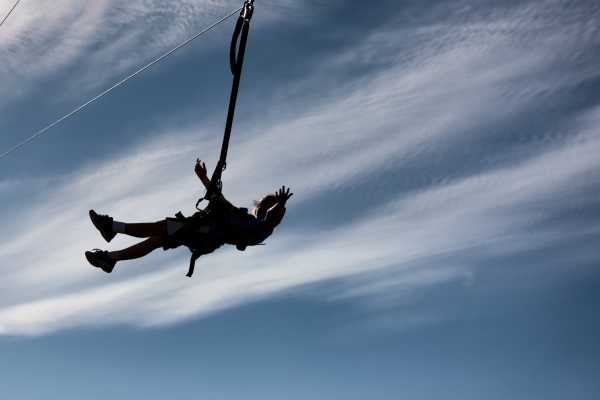 Canopy Horseback Monkey Combo