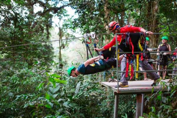 Canopy Horseback Monkey Combo