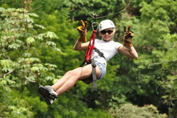 Canopy Horseback Monkey Combo