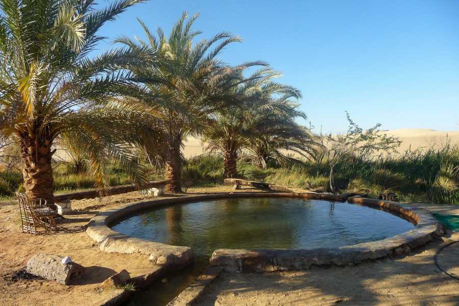 Egypt Tour packages 14 Day Egypt itinerary Cairo Siwa Oasis Nile Cruise and Red Sea