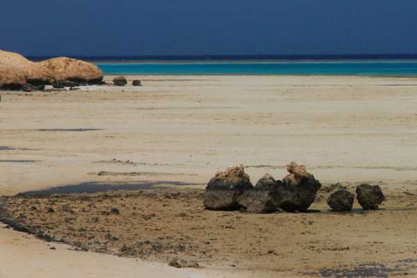 Half day snorkeling to Sharm El-Luli from Port Ghalib