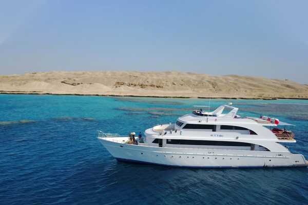 Shaab Samadai Snorkeling Trip From Port Ghalib