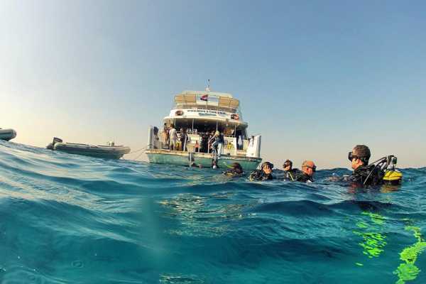 Marsa Mubarak Diving Trip From Port Ghalib