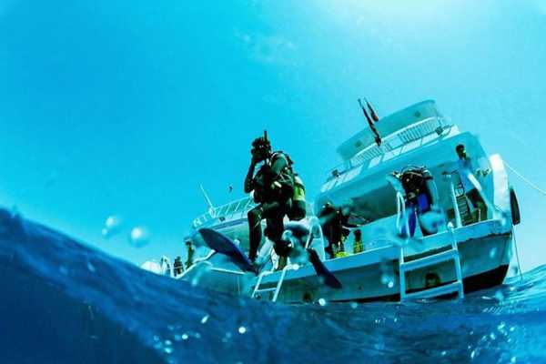 Marsa Mubarak Diving Trip From Port Ghalib