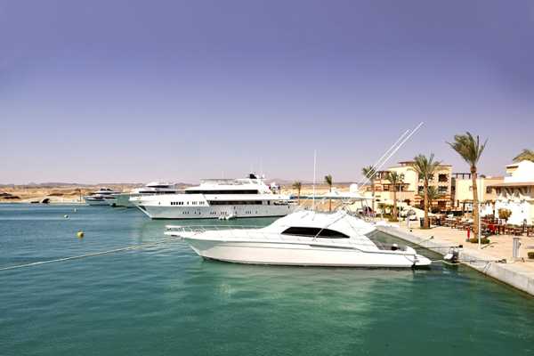 Marsa Mubarak Diving Trip From Port Ghalib