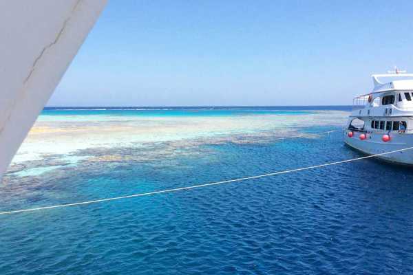 Private boat trip to Hamata island from Port Ghalib