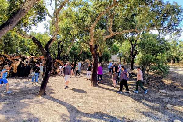 Algarve Natural Parks & Relax