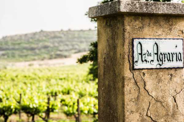 Tenuta Valle delle Ferle: Wine & food tasting a Caltagirone