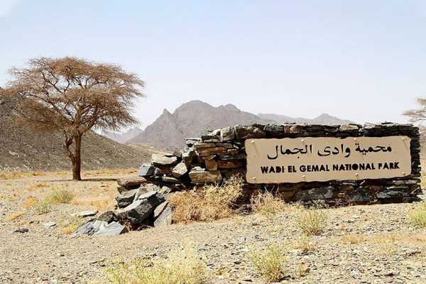 Private trip to wadi El Gemal from El Quseir
