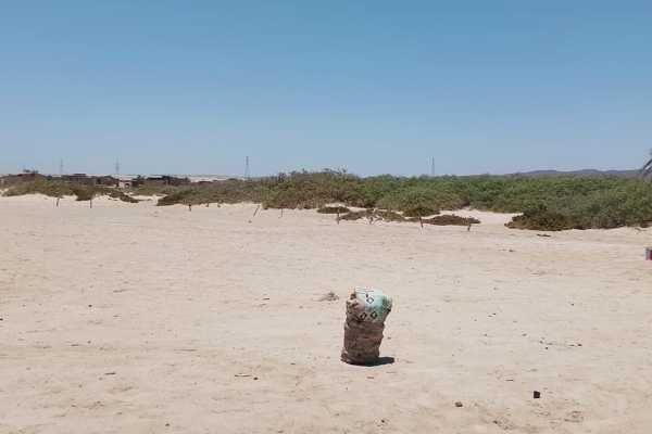 Snorkeling Day trip to Sharm el Lulli and wadi El Qulaan from El Quseir