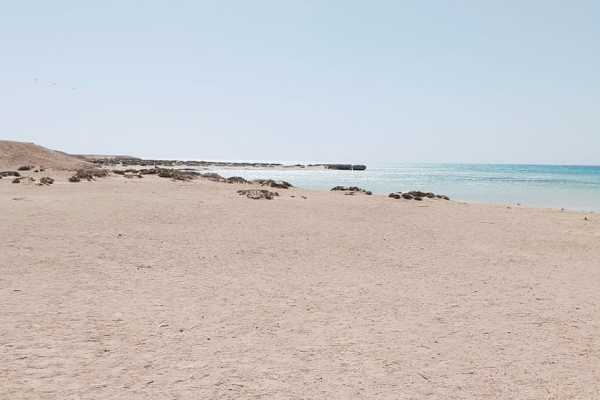 Half day snorkeling to Sharm El-Luli from El Quseir