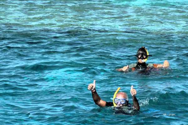 Marsa Mubarak Diving Trip From El Quseir