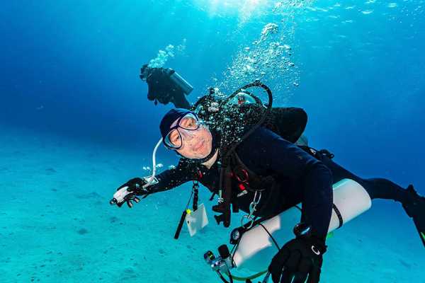 Diving trip at Shaab Samadai from Marsa Alam