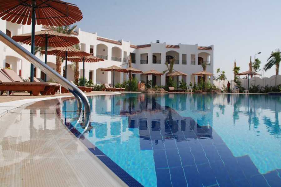 Egypt Tour packages Traslado privado desde el aeropuerto de Marsa Alam a Coral Hills Resort