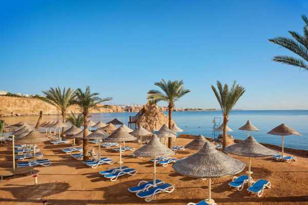Transfer from Marsa Alam Airport to Dreams Beach Resort