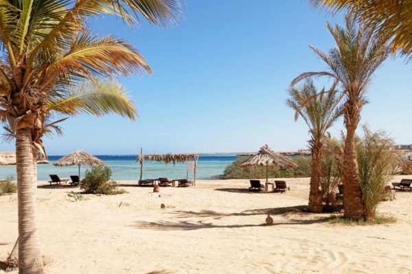 Transfer from Marsa Alam Airport to Mangrove Bay Resort