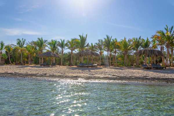 Transfer from Marsa Alam Airport to Mangrove Bay Resort