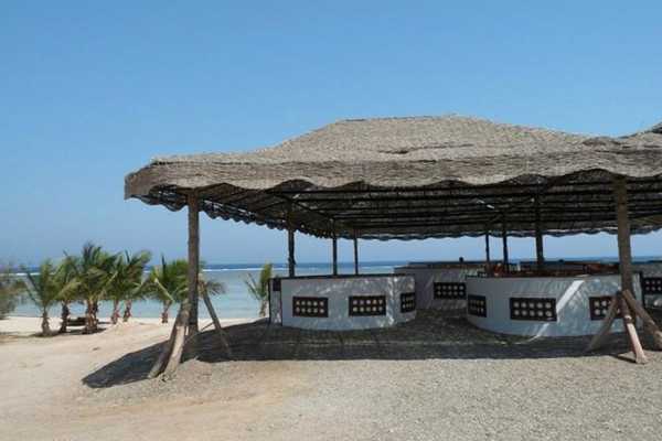 Transfer from Marsa Alam Airport to Mangrove Bay Resort