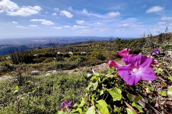 Algarve Easy Hiking and Culture