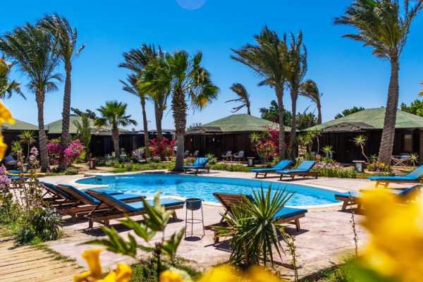 Transfer from Marsa Alam Airport to Abu Dabbab Lodge