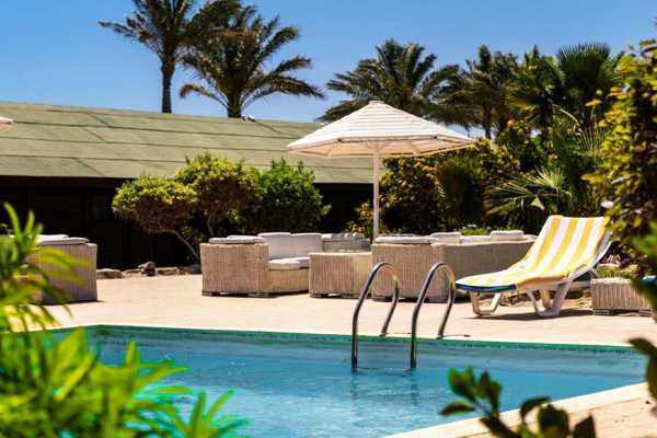 Transfer from Marsa Alam Airport to Abu Dabbab Lodge