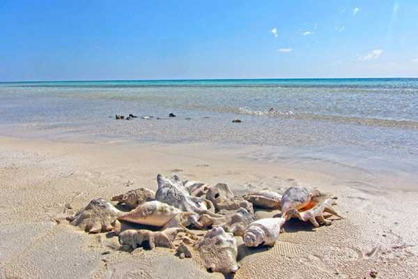 Snorkeling Day trip to Sharm el Lulli and wadi El Qulaan from Port Ghalib