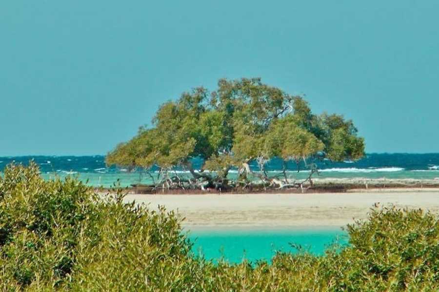 Egypt Tour packages Snorkeling Day trip to Sharm el Lulli and wadi El Qulaan from Port Ghalib