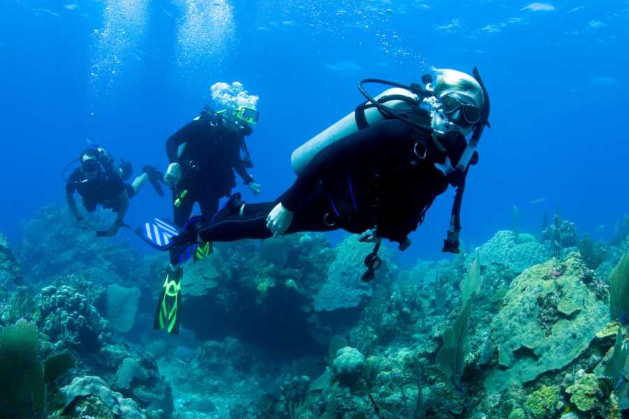 Egypt Tour packages Diving trip at Shaab Samadai from Port Ghalib