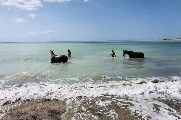 Passeggiata a cavallo nelle spiagge di Sciacca
