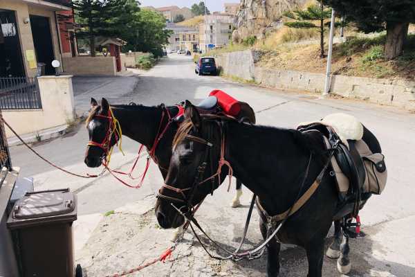 Passeggiata a cavallo da Sciacca a Caltabellotta e brunch con un pastore siciliano