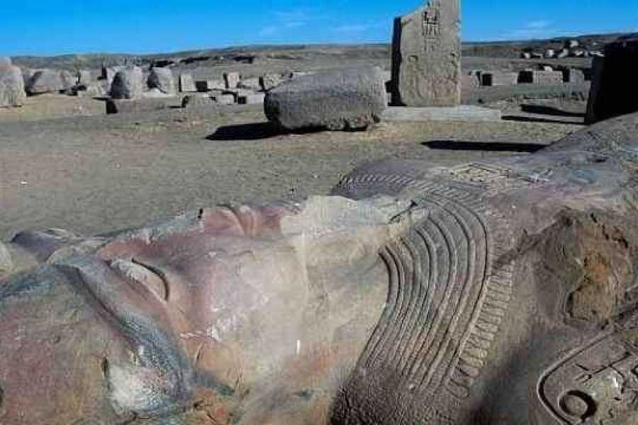 Tours to Egypt DAY TRIP TO TANIS FROM PORT SAID