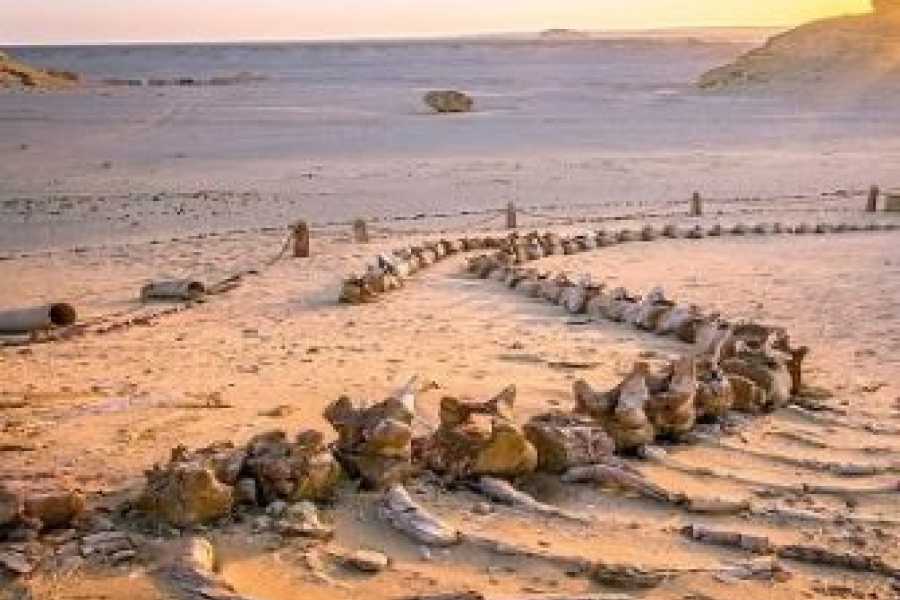 Tours to Egypt 5 DAY EGYPT ITINERARY FOR CAIRO