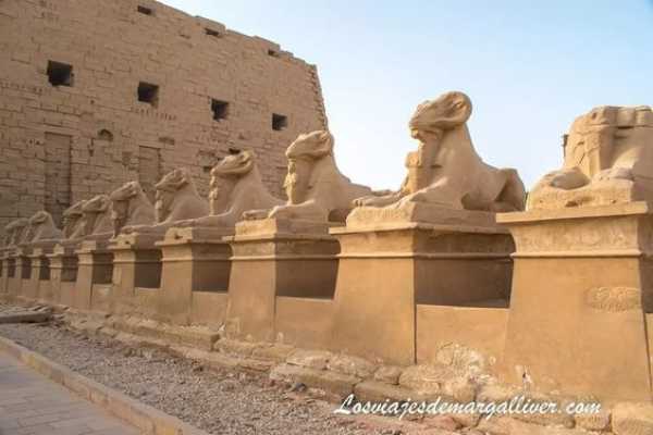 2 DAYS TOUR LUXOR FROM SAFAGA PORT