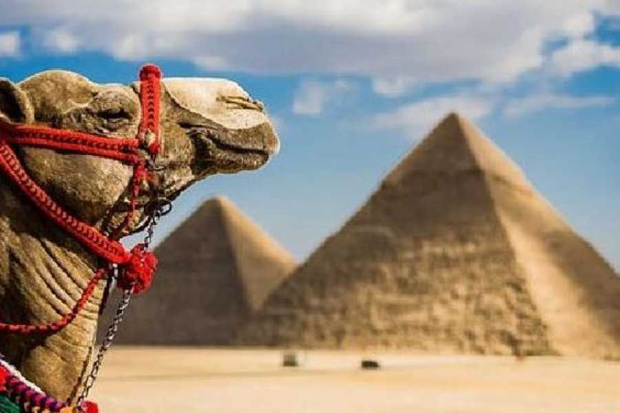 Tours to Egypt Egypt All Inclusive Family Vacation 7 Days with Nile Cruise 2024/2025